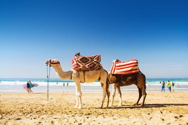Highlights Tours in Morocco